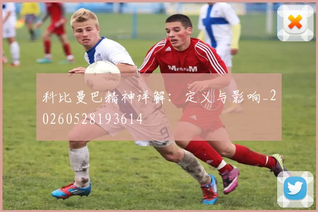 科比曼巴精神详解：定义与影响_20260528193614