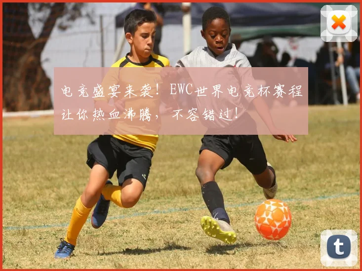 电竞盛宴来袭!EWC世界电竞杯赛程让你热血沸腾,不容错过!